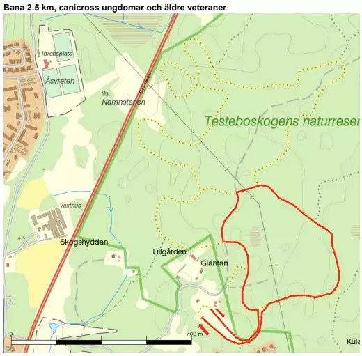 Bana 2.2 km, canicross ungdomar och äldre veteraner