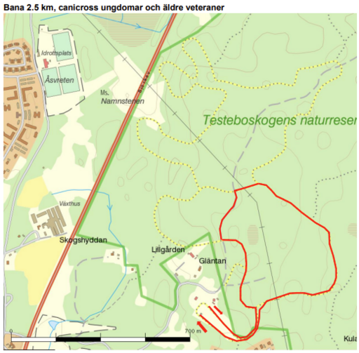 Bana 2.5 km, canicross ungdomar och äldre veteraner