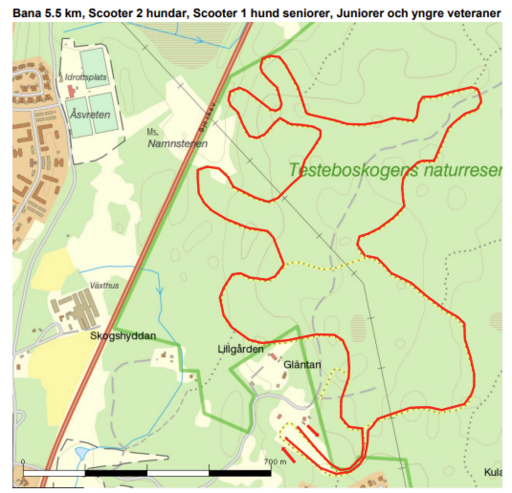 Bana 5.5 km, Scooter 2 hundar, Scooter 1 hund seniorer, Juniorer och yngre veteraner