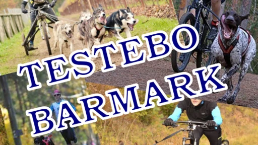 Testebo barmark