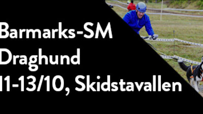 Information till boende kring Skidstavallen/Lindbacka